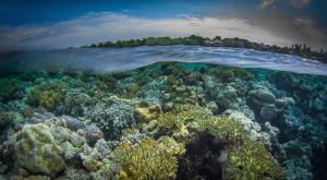 A very low tide on Wakatobi's House Reef by Steven Miller 